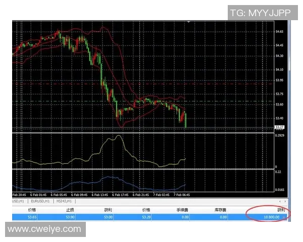 谢菲尔德对阵利兹的精彩直播全程回顾与分析