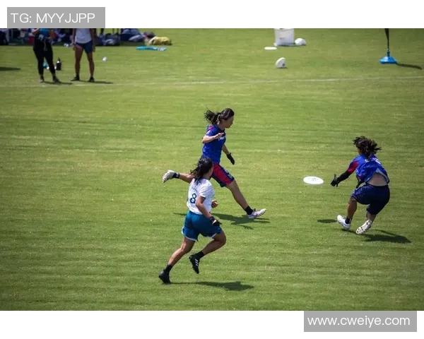 飞盘战术解析杭州飞盘队如何构建高效进攻体系与战术配合MBA