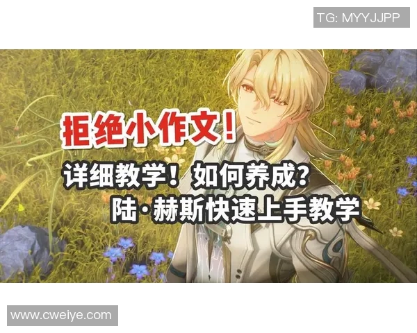 赫斯队与希伯尼安队的精彩对决分析及赛后点评